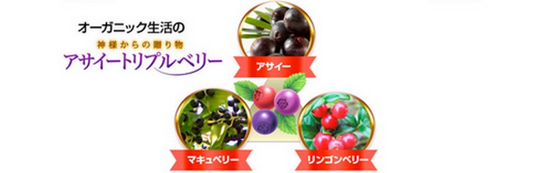 �A�T�C�[�g���v���x���[���T�C�g